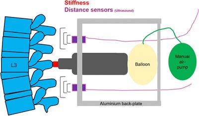 Lunar and mars gravity induce similar changes in spinal motor control as microgravity